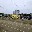 위성초등학교 | 초등학교 운동회 업체 선정 꿀팁 5가지 관리자분들 꼭 보세요