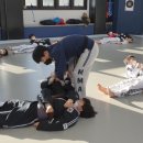 푸른합기도 이미지