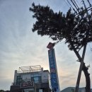 설바위펜션 | 포항 칠포 맛집 1박2일 숙식도 가능한 칠포횟집 설바위스쿠버횟집펜션 후기