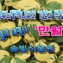 한국EDJ
