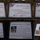 진흥중고등학교 이미지