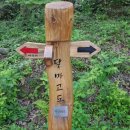 숲길 전경 이미지