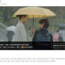 25년 8월 8일(금) 다움님 문화나들이- 매봉산무장애숲 걷고, 들꽃영화제 수상작 영화 봅니다 이미지