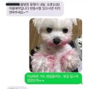 야 이미지