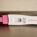 꽃님이약국 | 말 많던 둘째 임신준비와 임테기지옥으로 절절맸던 나날들🥲 (feat.어서와 꽃님아🌼)