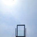 두바다찬솔 이미지