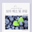 무지개과일 - 성남시 중원구 산성대로472번길 4-1 | 무지개과일