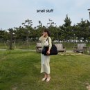테리어 | 스몰스터프 강아지 이동가방 캔버스 캐리백 8kg 화이트테리어 후기
