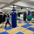 사당 복싱체육관 이미지