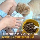 장헤어 - 강남구 | 본아페티 고양이 헤어볼 사료 헤어볼과 장 건강 한 번에 급여 후기