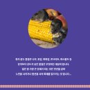 문치농장 네이버블로그