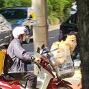 자미솔한의원 이미지