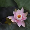 지금 여기 이미지