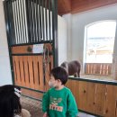 오락랜드 | 30개월 아이와 빡세지만 알찼던 하루코스ㅣ경마장 낮잠 서울랜드 풀코스 후기