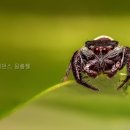 훼미리레지던스원룸텔