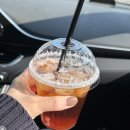 알베센트