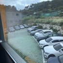 일광목장 | 기장 일광 오션뷰 신상카페 바스크치즈케이크가 맛있는 [매치포인트] 내돈내산 후기