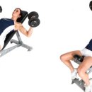 에이스 휘트니스 이미지