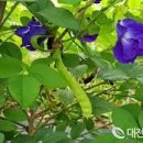 오인식품