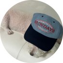 소소하개 이미지