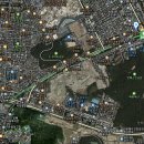 포레스트541 이미지