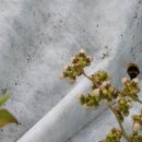 수정보건진료소 이미지