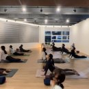 세영아쉬탕가요가 이미지