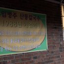 임병주 산동칼국수 이미지