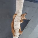 거목카페 이미지