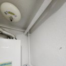 신성바이오 이미지