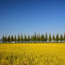 죽동마을 이미지