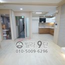 다우림 2차 이미지