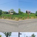 대영ENG 이미지