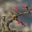 어울림B 이미지