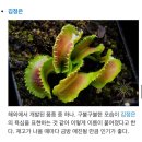 14월, 네일 | 대충 휘갈기는 묵혀뒀던 연말연초