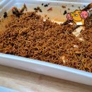 지에스(GS)25시흥사거리점 이미지