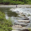 고와1교 이미지