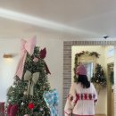 사하펫 | 사하구 그랑비 크리스마스 트리 주차장 음료 5분컷 후기 반려견 동반 가능