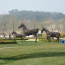 보성정원민박 이미지