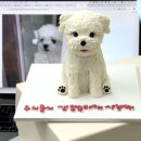 프프프스토어 이미지