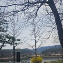 설봉공원 | 이천 설봉공원 후기