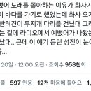 이효리가 데이식스 예뻤어 듣고 울었다 했잖아 이미지