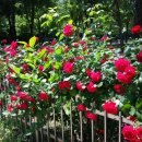 월정리경로당 이미지