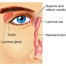 운동케어센터 이미지