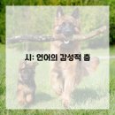 장르별 글쓰기(소설) | 장르별 글쓰기 가이드: 소설, 에세이, 시, 논픽션 특징 익히기