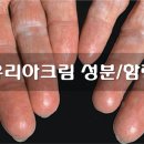 태선약국 이미지