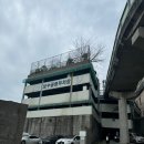 호텔 더 루아 남포롯데점 | 부산 여행( 부산투어패스 24시간)