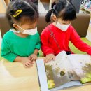 예솔작은도서관 이미지