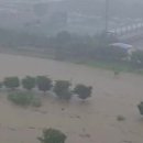 오산-청학-청학-9 이미지