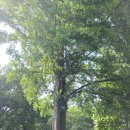 에이치파크(아산점) 이미지